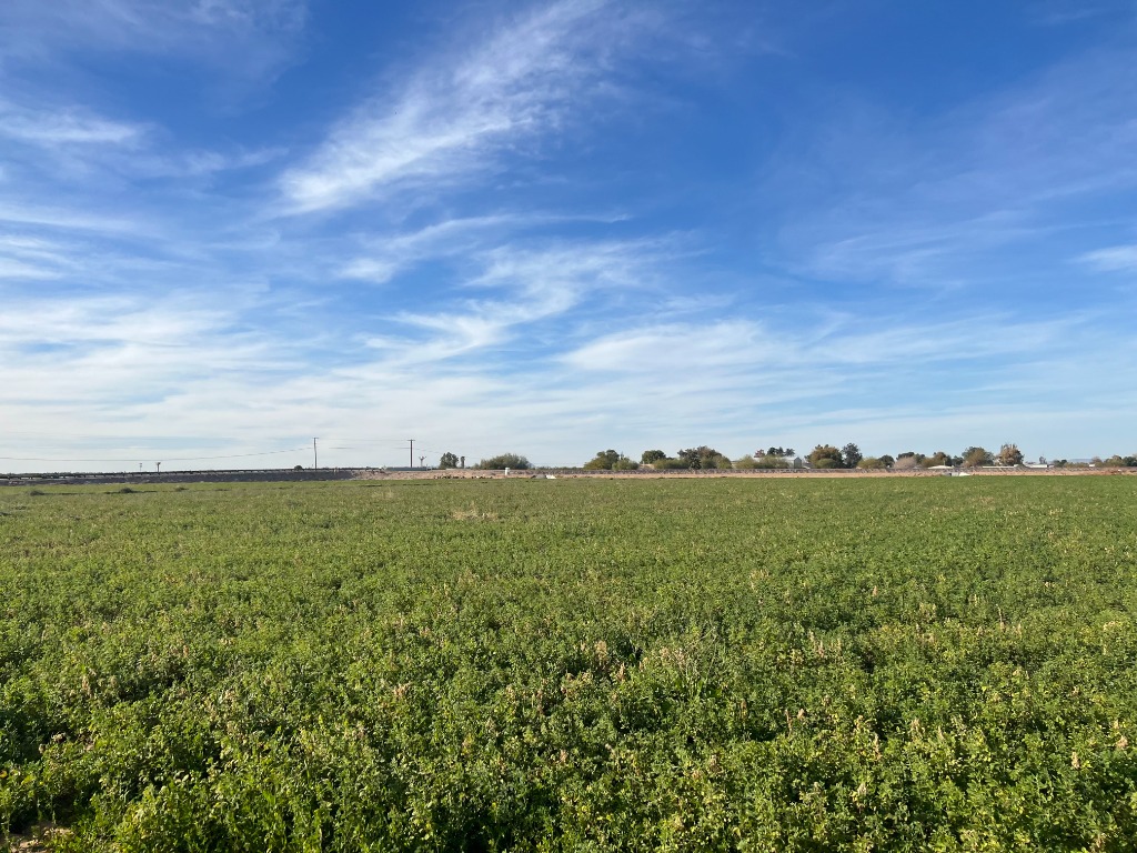 Sunny day at the ranch